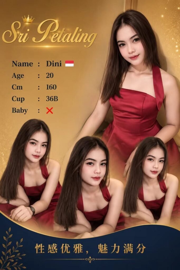 DINI
